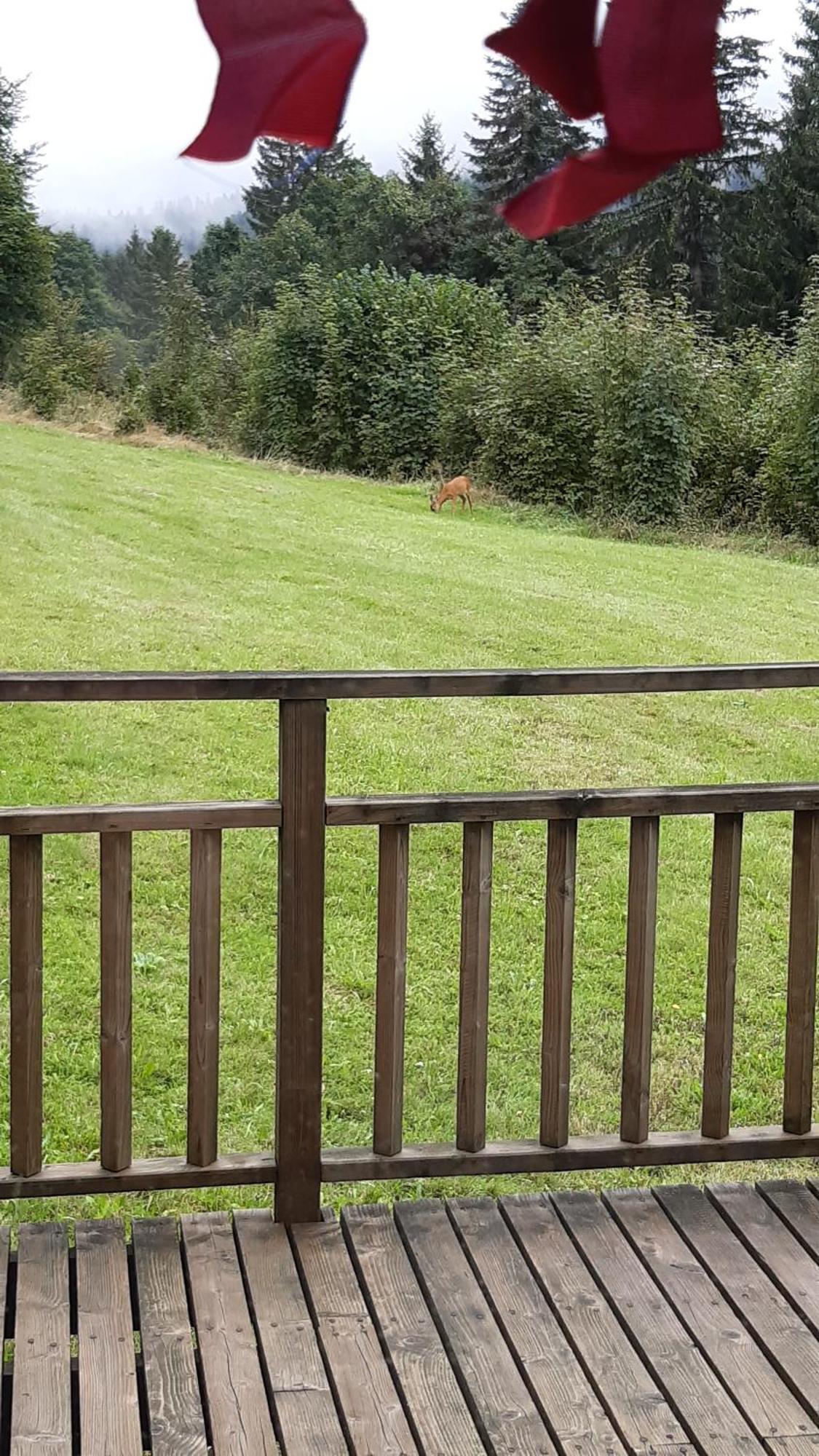 Les Angeliques Apartamento Gérardmer Exterior foto